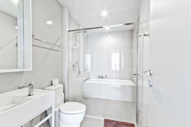 Tub to Shower Conversion